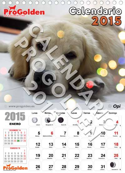 Calendario ProGolden 2015